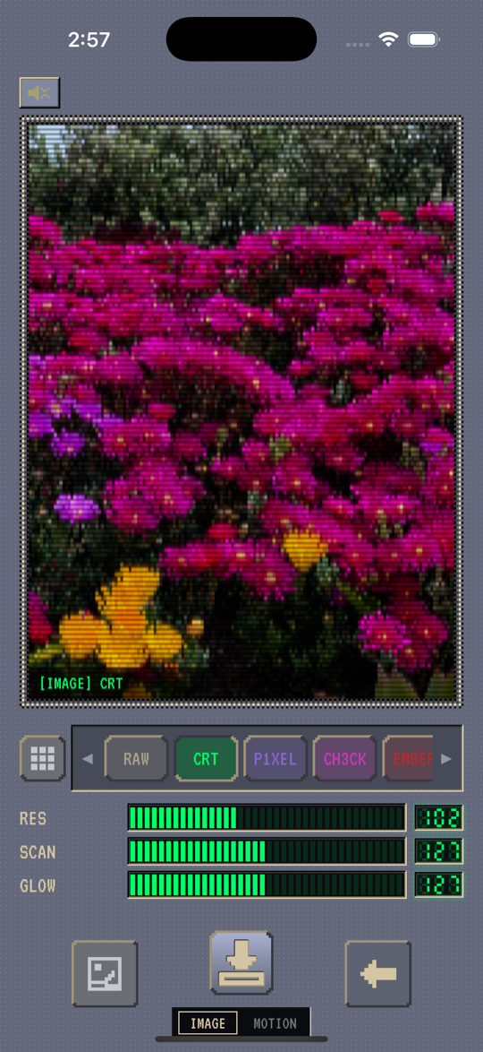CRT filter