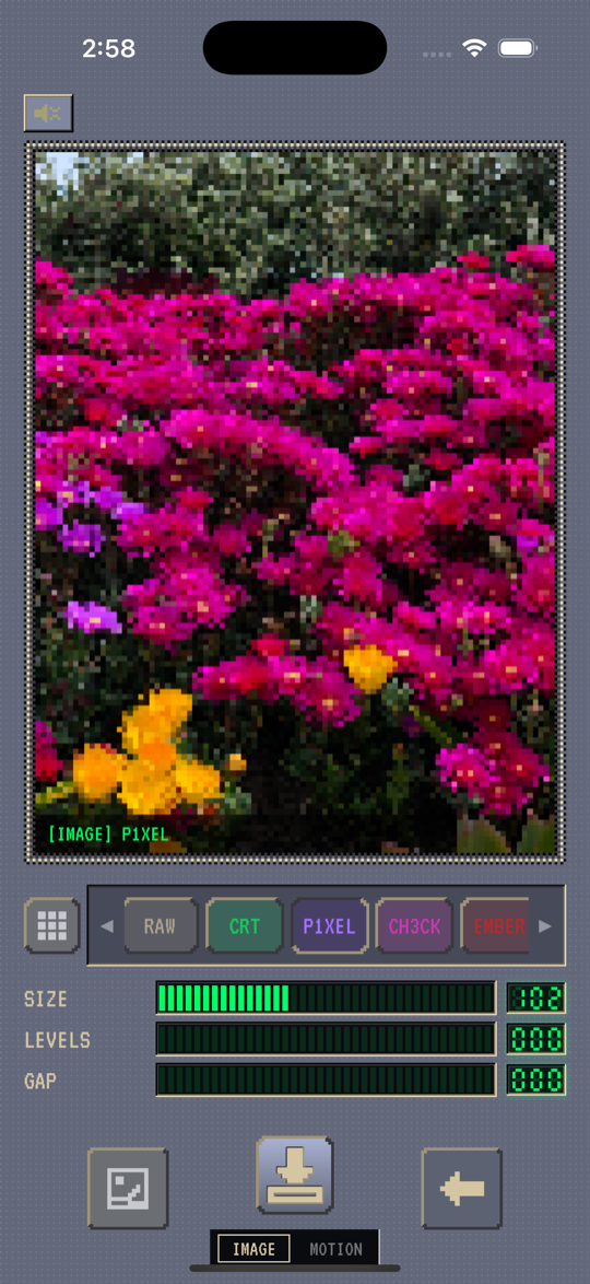 PIXEL filter